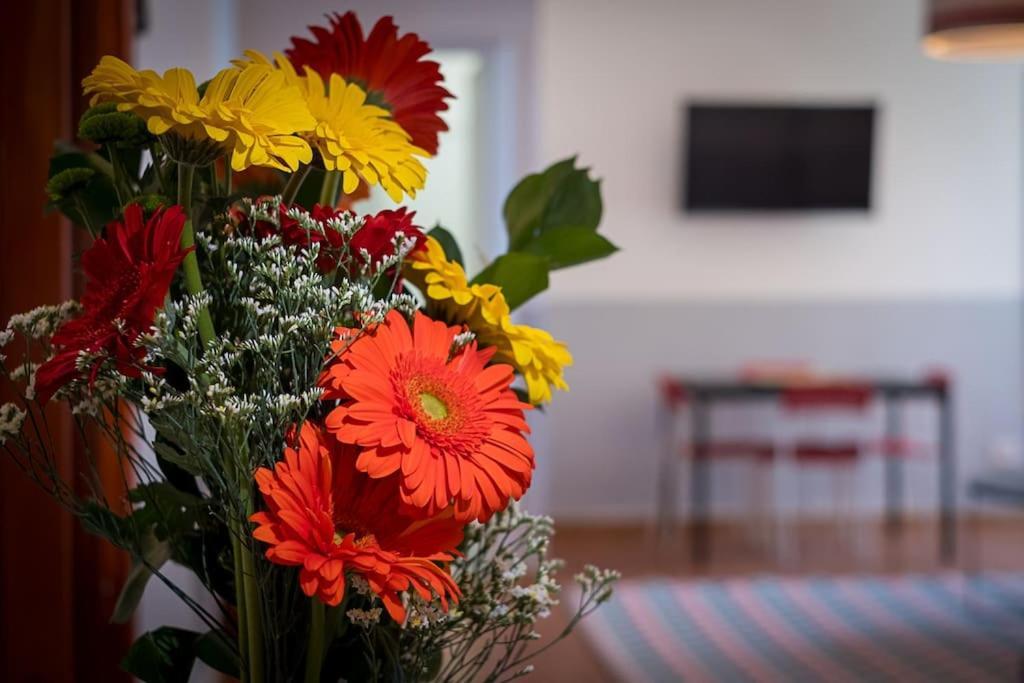 Apartment Ht Bilo Colosseo With Terrace Rom